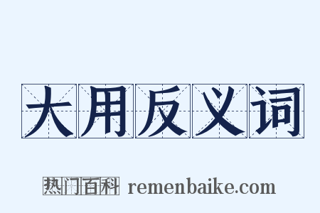 大用反义词是什么意思的图片